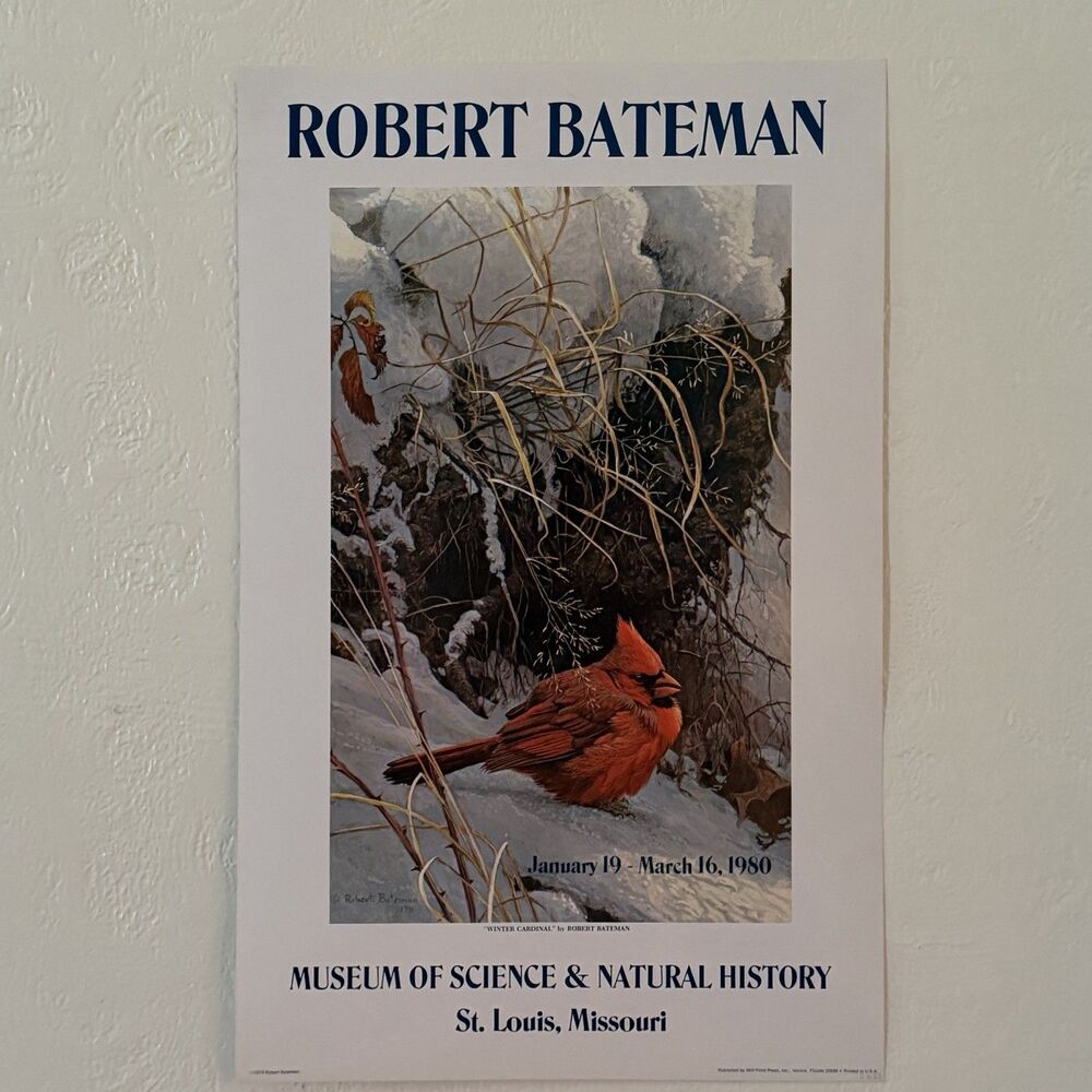Robert Bateman Winter Cardinal St Louis Mo 1980 Art Museum Poster Print 22x14”